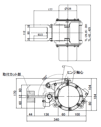 TL型